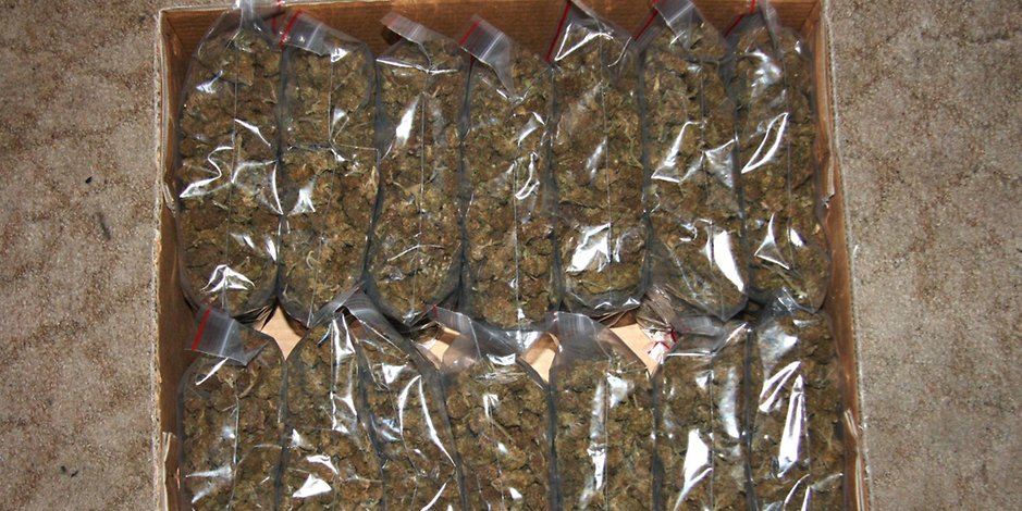 Ein 24-Jähriger steht in Hamburg unter Verdacht, 120 Kilogramm Marihuana nach Deutschland eingeführt zu haben (Archivbild).