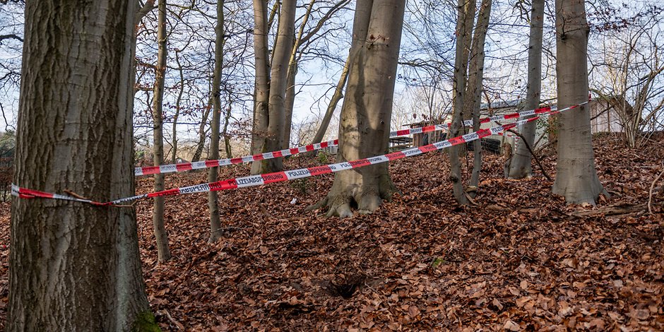 In diesem Waldstück bei Hamburg wurde das versteckte Fass gefunden, möglicherweise besteht eine Verbindungen zur RAF. 