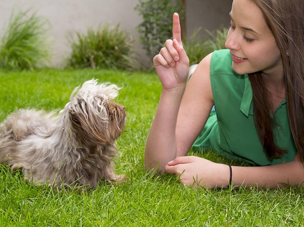 Eine junge Frau erzieht ihren Hund. Sollte man das mit kleinen Kindern genauso machen?