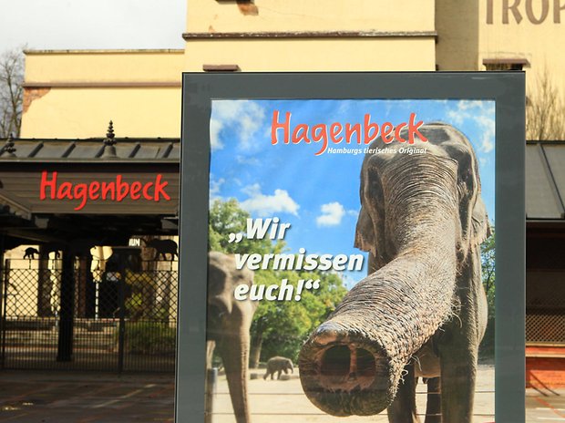 Der Tierpark Hagenbeck darf nach langer Pause nun endlich wieder öffnen.