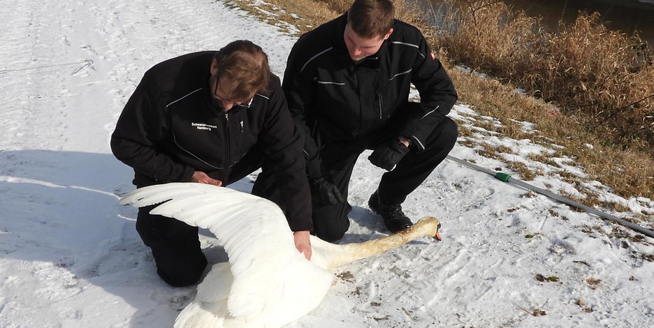 Olaf Nieß und ein weiterer Helfer retteten zwei Tiere vor dem Kältetod.