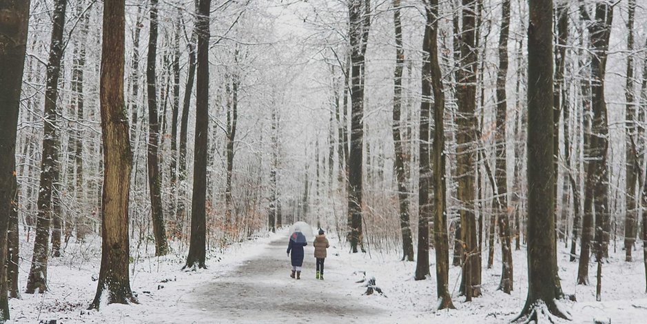 Der Volksdorfer Wald hat sich durch den Schnee in eine Märchenlandschaft verwandelt. Nix wie raus zu einem Spaziergang.
