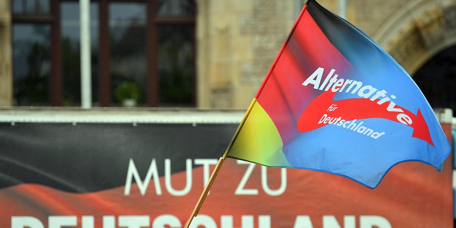AfD-Flagge mit Parteilogo. (Symbolbild)