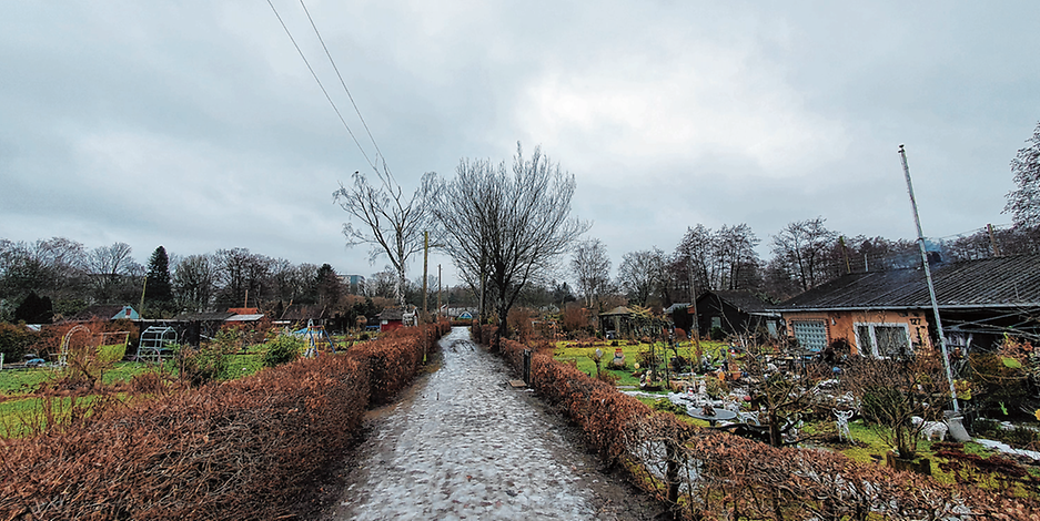 Immer mehr Kleingartenanlagen sind vom Bauboom bedroht – so wie diese in Langenhorn.