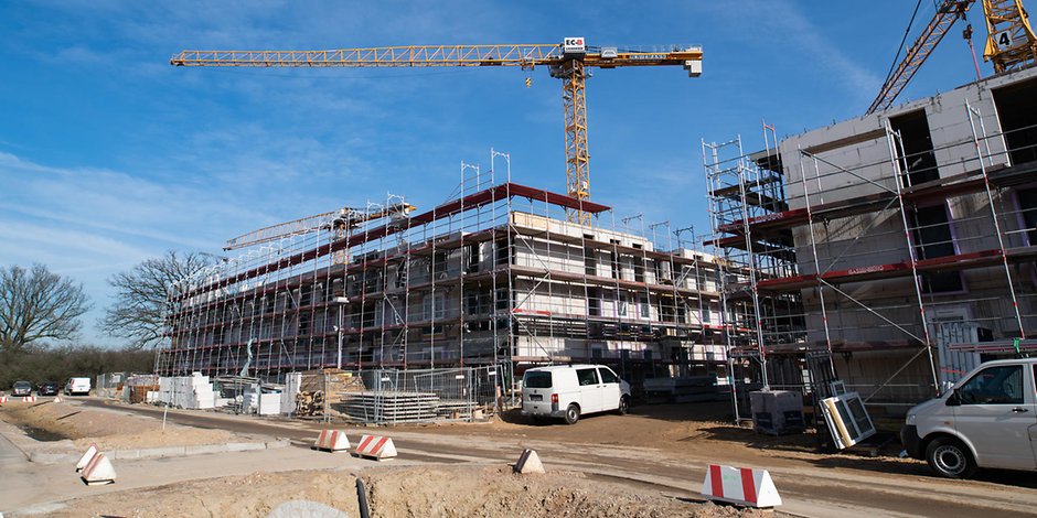 Der Preisanstieg beim Holz könnte den Bau bezahlbarer Wohnungen in Hamburg gefährden (Symbolfoto).
