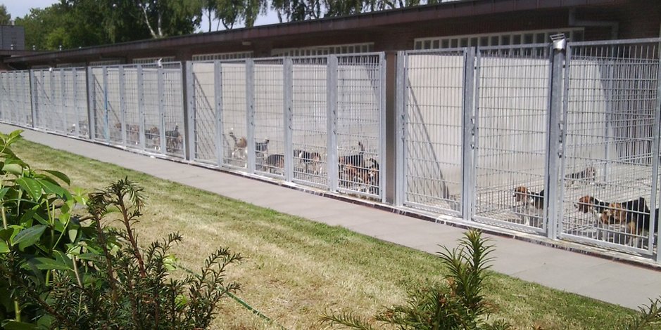 Archivaufnahme der Beagle-Zwinger in Mienenbüttel. Das LPT-Gelände soll nun eine Auffangstation für Tiere werden.