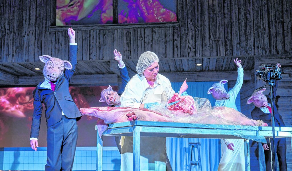 Im Theaterstück „Lärm. Blindes Sehen. Blinde sehen!“ zerschneidet Eva Mattes ein Schwein.
