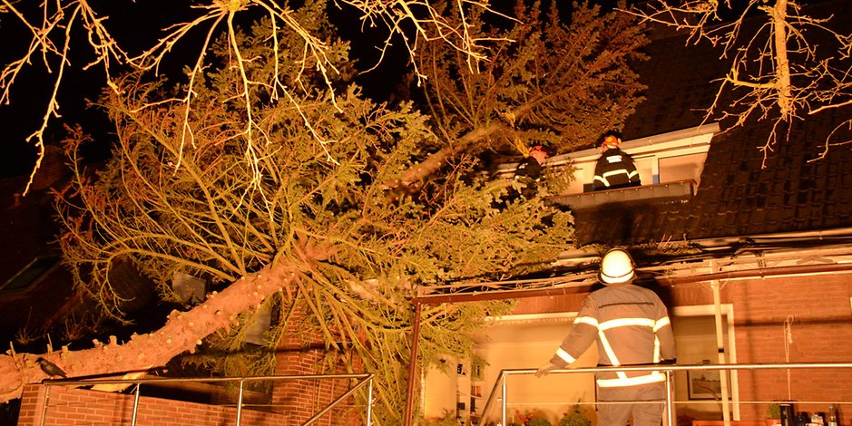 Feuerwehrleute inspizieren den Schaden in der Straße Godenwind in Billstedt, wo eine 20 Meter hohe Tanne auf ein Haus kippte.