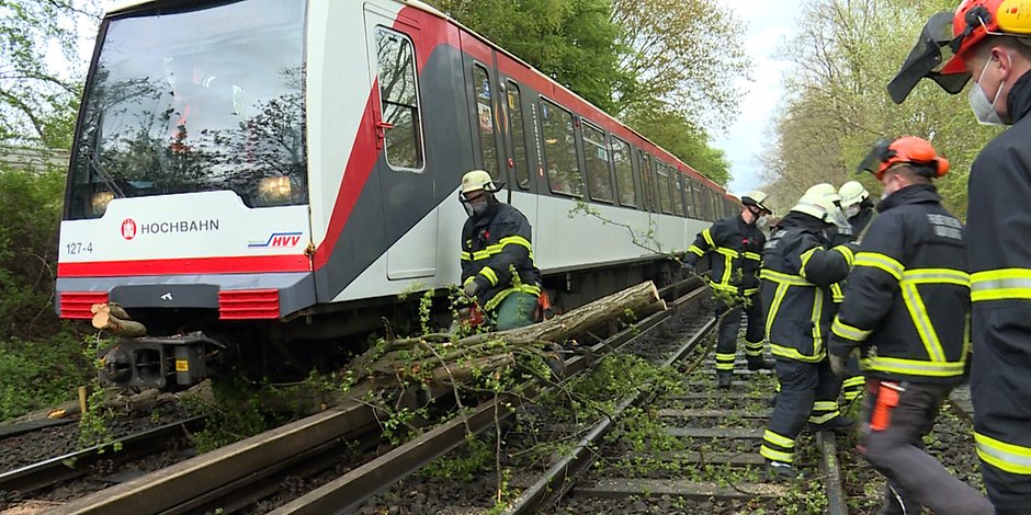 Zwischen den U-Bahn-Haltestellen Lattenkamp und Alsterdorf war ein Baum auf die Gleise gestürzt.