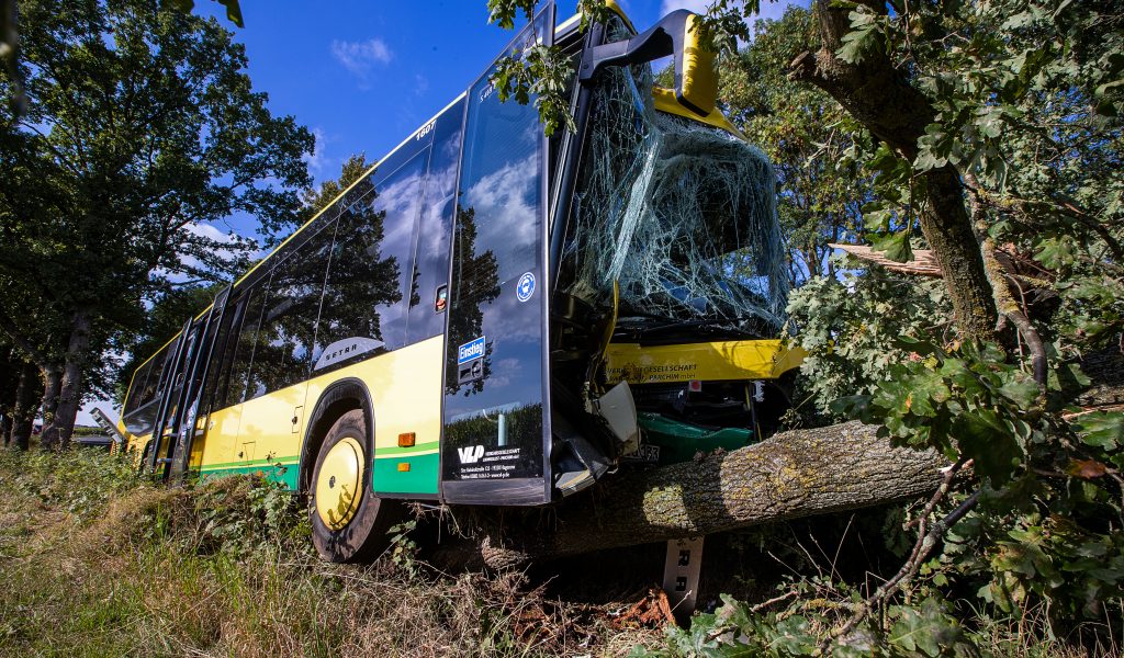 Der mit mehr als 30 Kindern einer Grundschule und zwei erwachsenen Fahrgästen besetzten Linienbus kam von der Fahrbahn ab und stieß gegen einen Baum.
