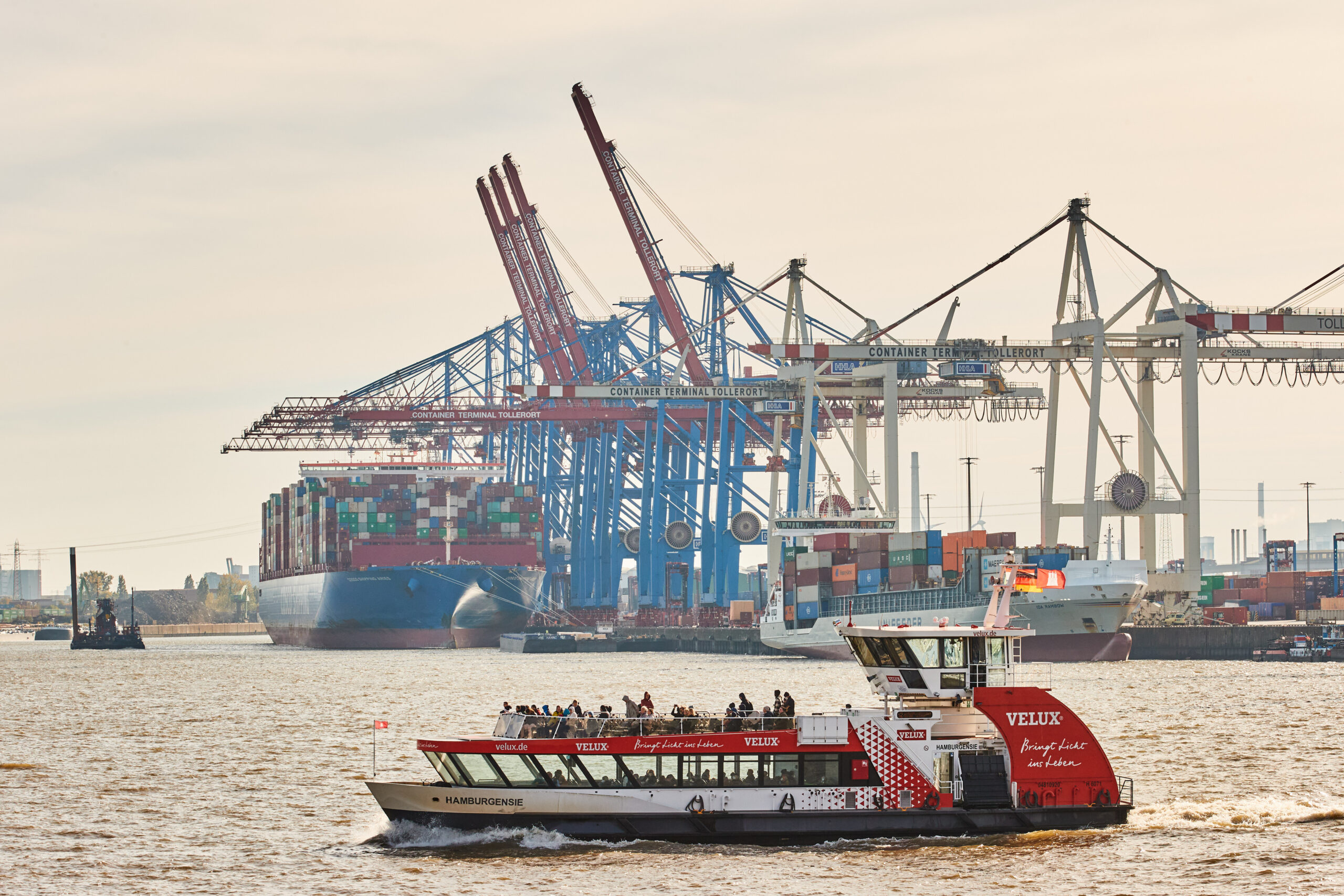 Eine HADAG-Fähre fährt an den Kränen und Containerschiffen im Hamburger Hafen am HHLA-Terminal Tollerort vorbei.