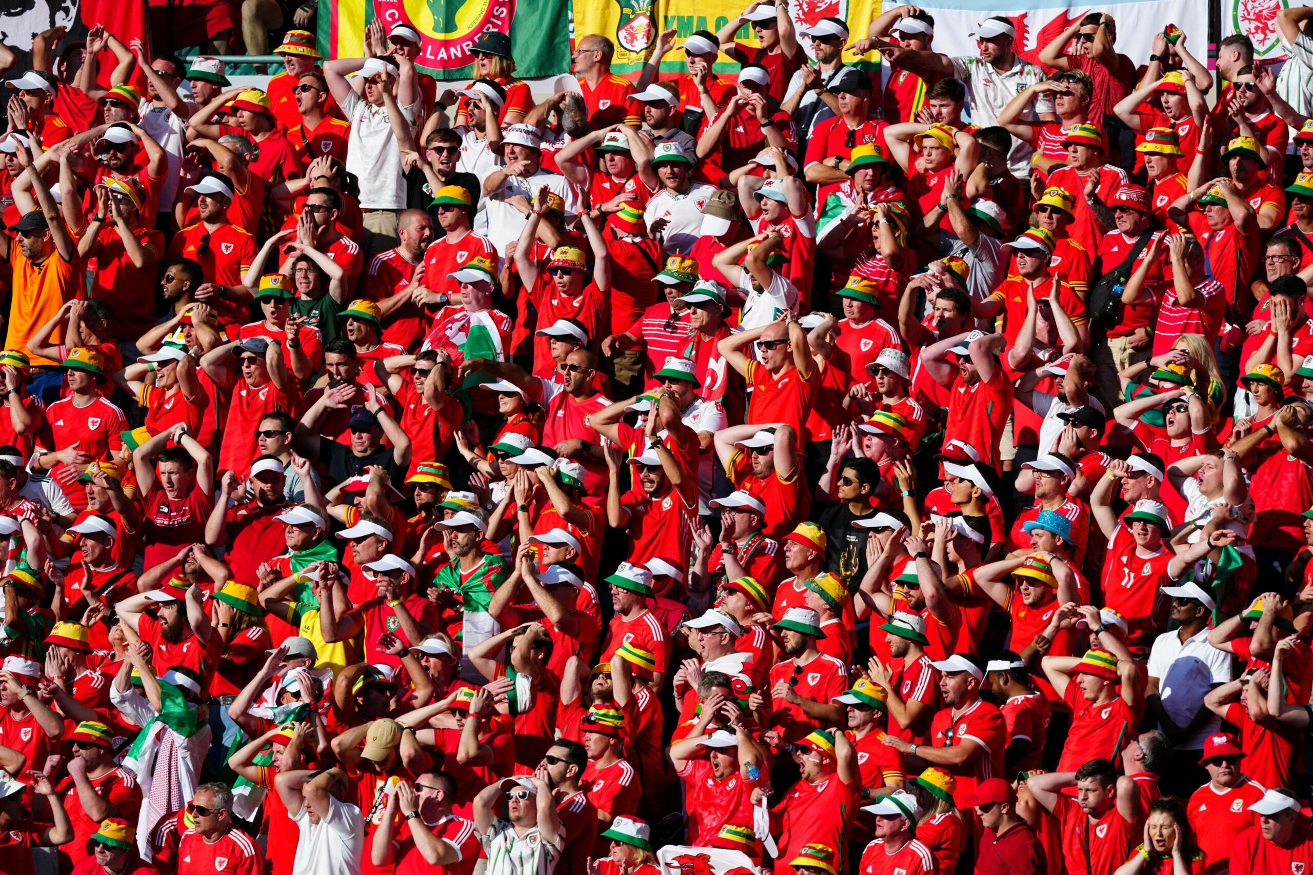 Wales-Fans während der Partie gegen den Iran