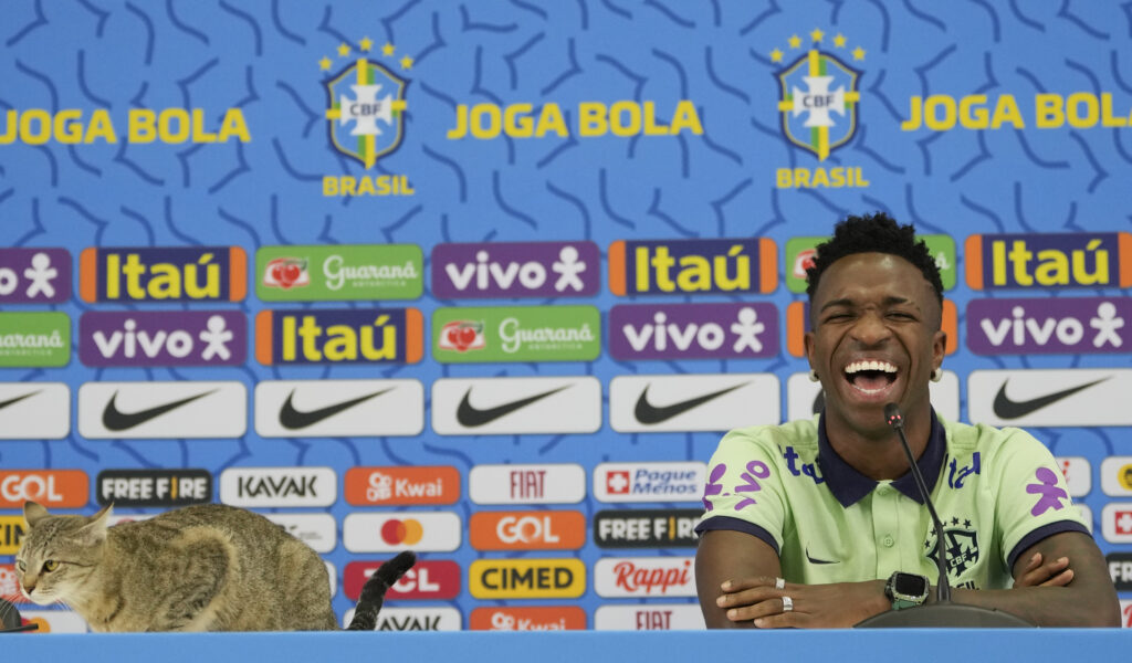 Brasiliens Nationalspieler Vinicius Junior mit Katze bei Pressekonferenz