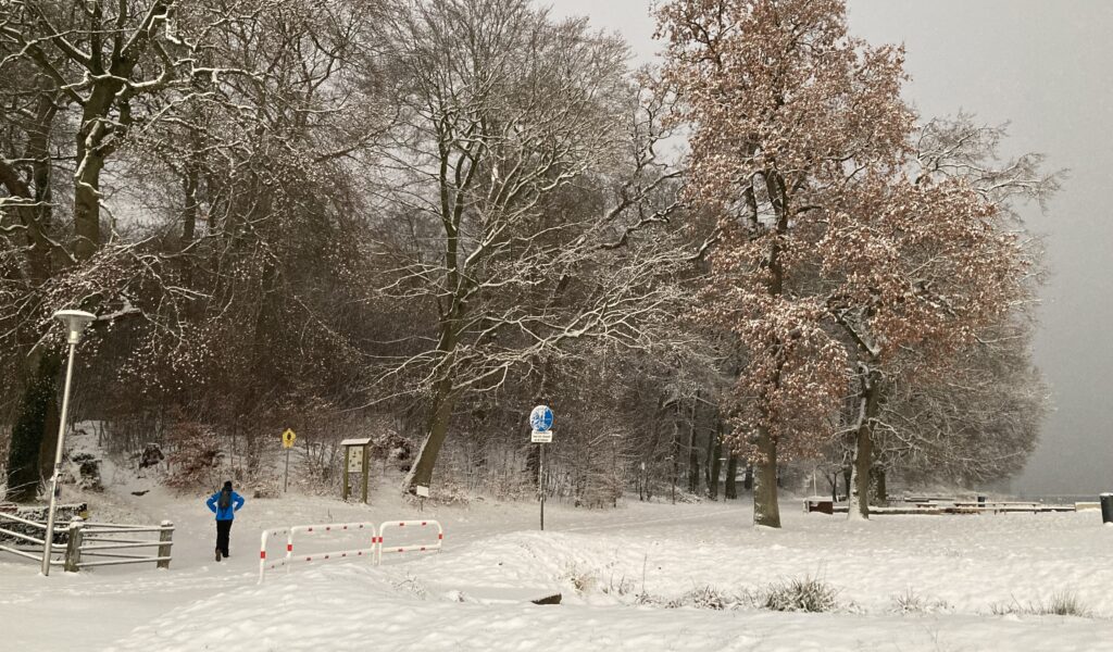 Schnee in Flensburg