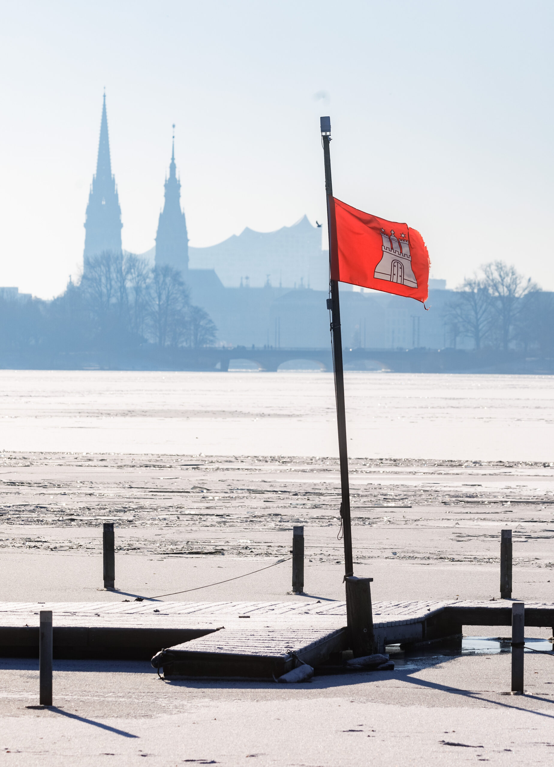 Eine Hamburg-Flagge vor den Wahrzeichen Hamburgs