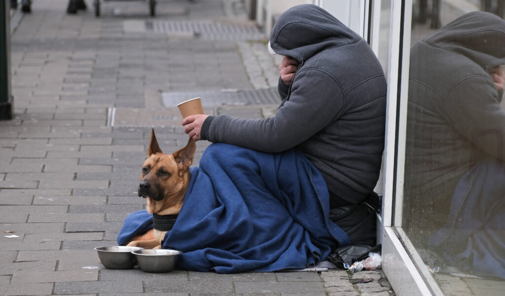 Für manche Obdachlose ist der Hund ihr bester Freund. Doch organisierte Bettler nutzen die Tiere oft gezielt, um Mitleid zu erregen (Symbolbild).