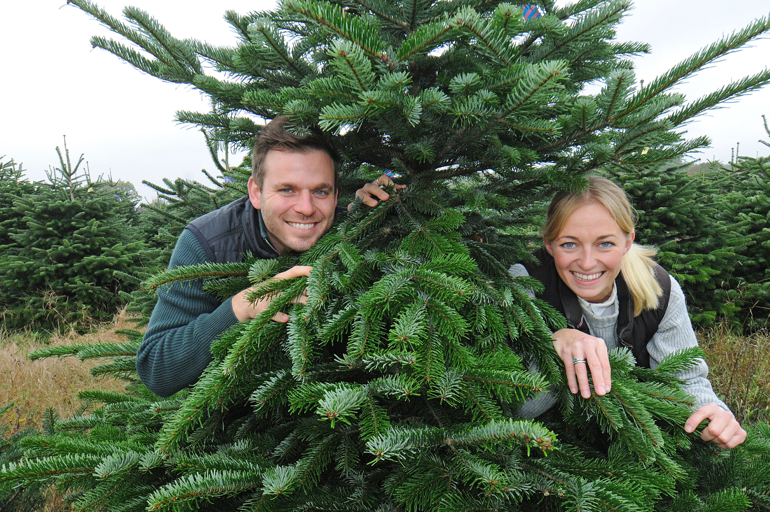 Saskia Blümel und Christian Mai produzieren Tannenbäume und Verrücktes auf ihren Höfen.