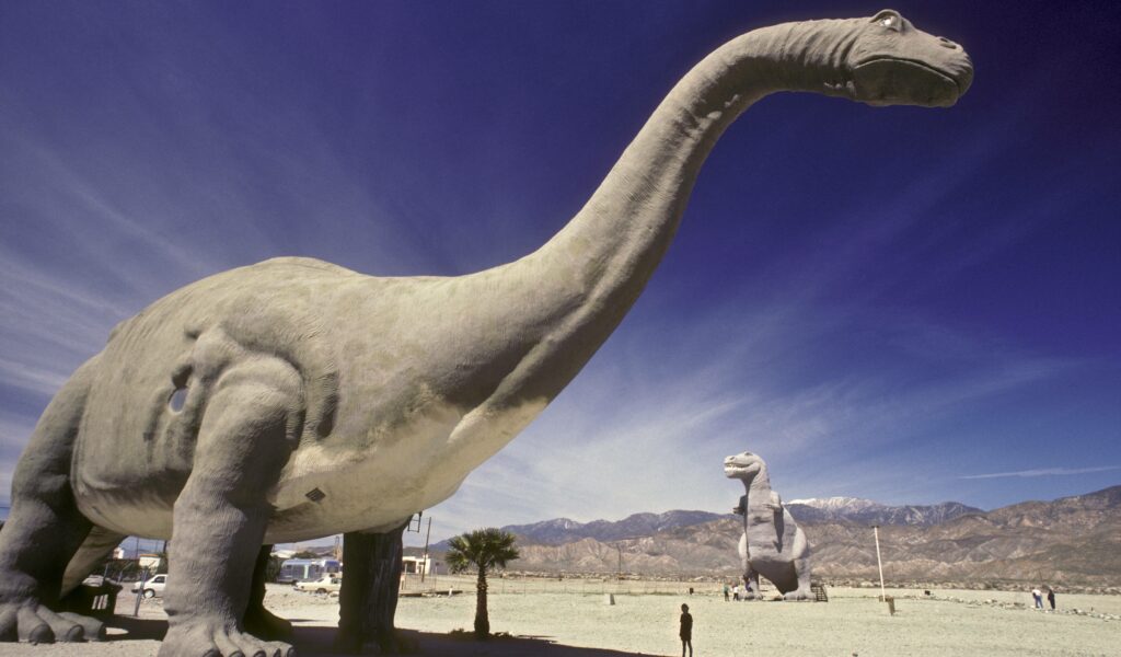 Ein Brotosaurier im Modell in Californien.