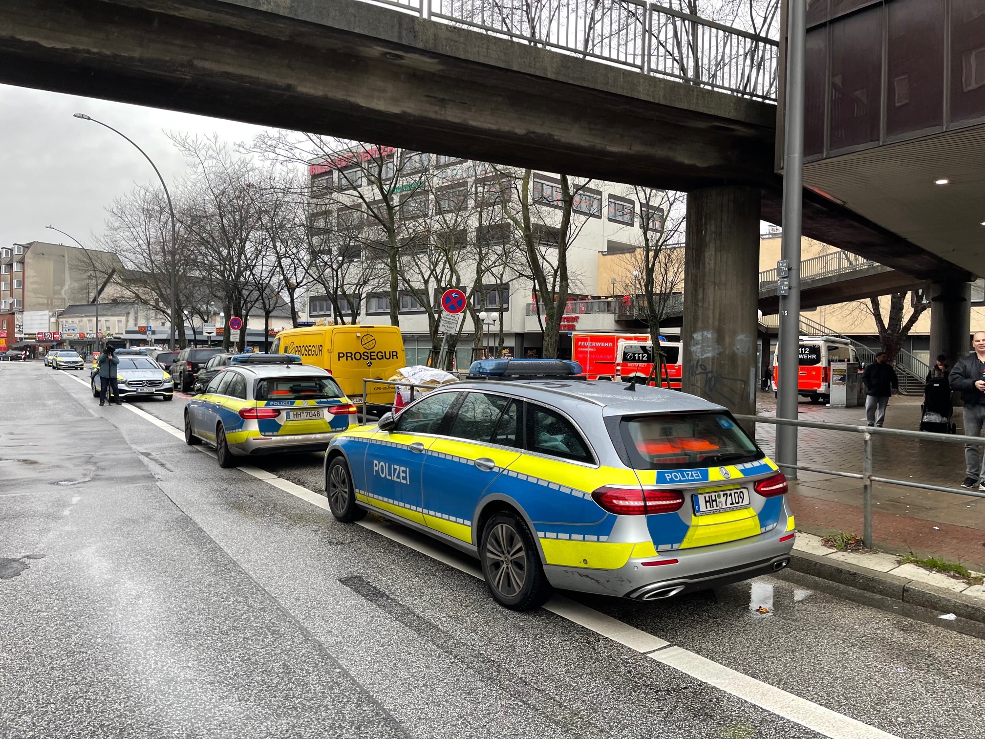 Streifenwagen der Polizei und Fahrzeuge der Feuerwehr am Tatort in Billstedt.