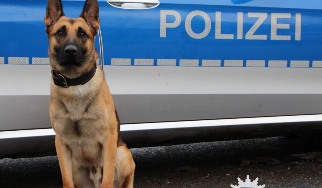 Nach Einbruch in Hamburger Firma – Polizeihund „Ori